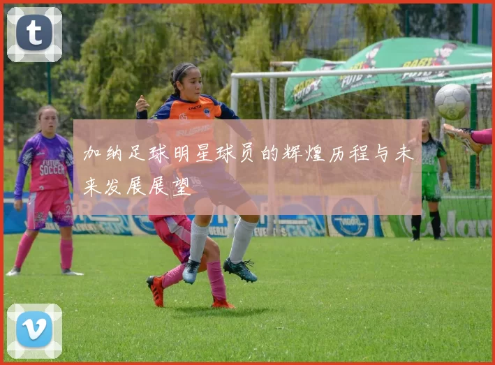 加纳足球明星球员的辉煌历程与未来发展展望