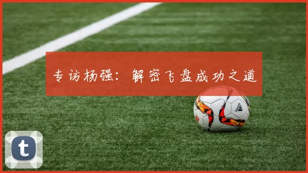 专访杨强：解密飞盘成功之道