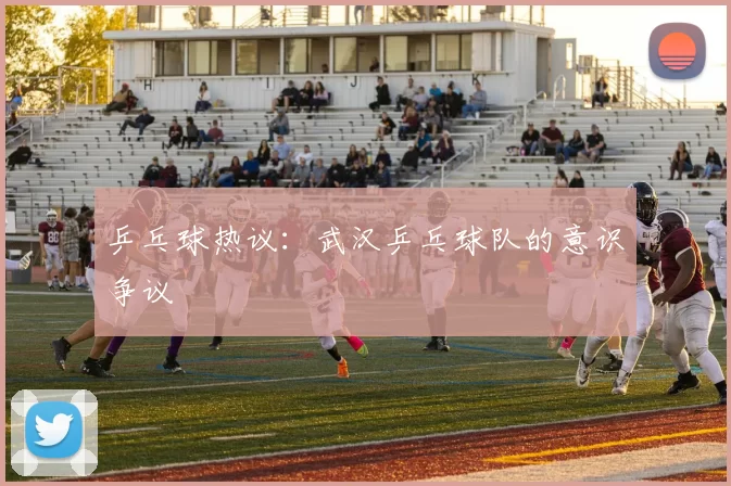 乒乓球热议：武汉乒乓球队的意识争议