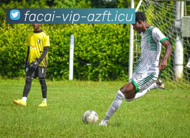 华体会体育品牌故事